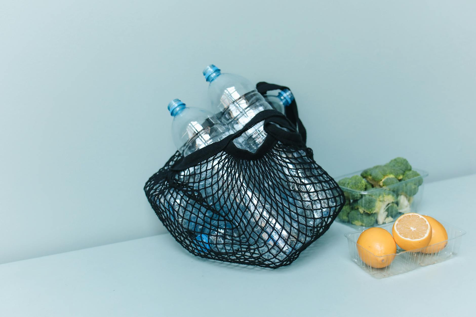 Image of a net bag with plastic bottles, broccoli, and lemons symbolizing zero waste living.